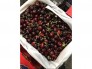 Cherry Úc hiệu Wandin size 26-28