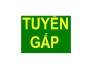 Cần tuyển gấp nhân viên