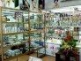 Tuyển nhân viên bán hàng tại cửa hàng