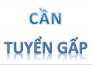 Công ty cần 01 nhân viên kế toán thu ngân