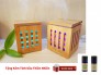 Máy khuếch tán tinh dầu GX-02K Thích hợp dùng cho văn phòng, phòng ngủ, phòng khách + Tặng Kèm tinh dầu - MSN388294