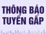 Nhân viên bán hàng cuối năm.