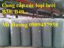 Lưới B40, Lưới bọc nhựa, Lưới hàng rào