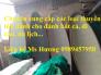 Thuyền câu cá, thuyền cho 1-2 người, thuyền dành cho 3-4 người giá rẻ, đẹp... làm theo đơn đặt hàng