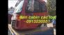 Bán đầu cabin xe thaco foton auman, giải phóng ,trường giang, dongfeng, hino, kia, huyndai, jac