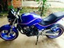 Hornet 250