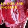 Địa chỉ uy tín cung cấp cây giống bưởi đỏ Phúc Kiến, bưởi Trung Quốc, #bưởi_đỏ_phúc_kiến