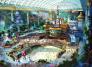 Seoul- Đảo Nami – Lotte World – Drawing Show 5N4D