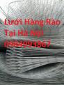 Lưới Hàng Rào D4 Gập Đầu Tam Giác