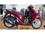 Vỏ xe sau SH chính hãng Veloce có bảo hành