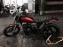 Daelim VS125 lên full tracker