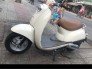 Scoopy mini