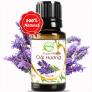 Tinh Dầu Lavender Oải Hương 10ml