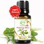 Tinh Dầu Hương Nhu 10ml