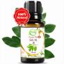 Tinh Dầu Sá Xị 10ml