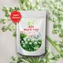 Bột Bạch Chỉ 200gr