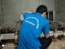 Sửa máy CNC điêu khắc gỗ chuyên nghiệp tại nhà , giá thành rẻ