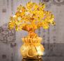 Cây Tài Lộc Biểu Tượng Của Sự Sung Túc 18.5cm - MSN1831086