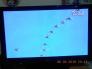 TV LG 42 inch 7 cổng tha hồ kết nối