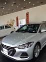 Hyundai Elantra Sport - Có xe sẵn - Giao ngay - Tất cả các màu