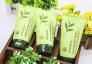 Sữa Rửa Mặt Trà Xanh Innisfree