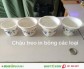 Công ty THAKICO - Chuyên Sản Xuất các loại Chậu Treo chất lượng