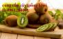 Cây kiwi, cây ăn quả mới, cây giống kiwi, cây giống chất lượng, giao hàng toàn quốc
