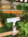 Kẹp quảng cáo 2 đầu, kẹp wobbler Hà Nội