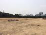Bán đất thương mại dịch vụ tại Quỳnh Phụ Thái Bình 5010m2 giá rẻ