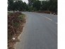 Đất mặt tiền đường nhựa