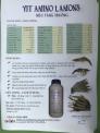 Vit Amino Lamons - Siêu Tăng Trưởng