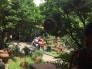 Cần bán gấp vì có việc về Sài Gòn