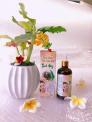 Sản Phẩm Trị Mụn - Tái Tạo Da