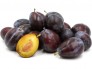 Cây mận ngọt Ý  ( italian prune plums  )