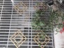 Cần tiền kinh doanh bán gấp nhà p9