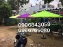 Dù che nắng giá rẻ