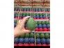 Đồ chơi trứng khủng long