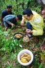 Mật ong rừng nguyên chất.