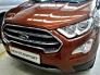 Xe Ecosport