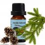 Tinh dầu Gồ Thông Bảo Hân 10ml