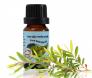 Tinh dầu tràm trà Bảo Hân 10ml