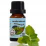 Tinh dầu Hoắc Hương Bảo Hân 10ml