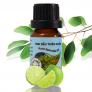 Tinh dầu Bạch đàn chanh Bảo Hân 10ml