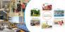Đầu tư ngay đất nền Nam Hải gần mặt đường World Bank kết nối cầu Bạch đằng sang Hạ Long