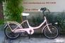 Xe đạp trợ lực Bike2 Bridgestone