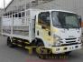 Xe tải 5t5 Isuzu nqr75le4 đời 2018
