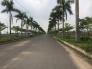 Bán đất thổ cư, sổ riêng, giá rẻ, Đức Hòa, Long An,