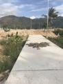 Cc bán lô 102m2 Đông Dinh Diên Toàn Diên Khánh gần Cao Bá Quát Cầu Lùng