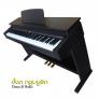 Bán đàn piano điện cũ nhập khẩu trực tiếp từ Nhật Roland HP-147R