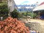 Bán Đất Thổ cư hẻm 3 Hà Huy Tập,5*32m,1 tỷ 230tr,đg hẻm Nguyễn Hữu Thấu,định cư lâu dài.giá rẻ